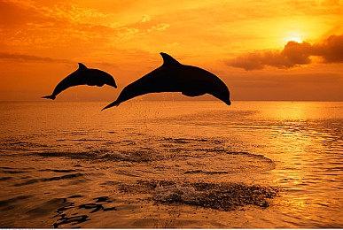 IGN《死亡岛2》开场11分钟试玩演示